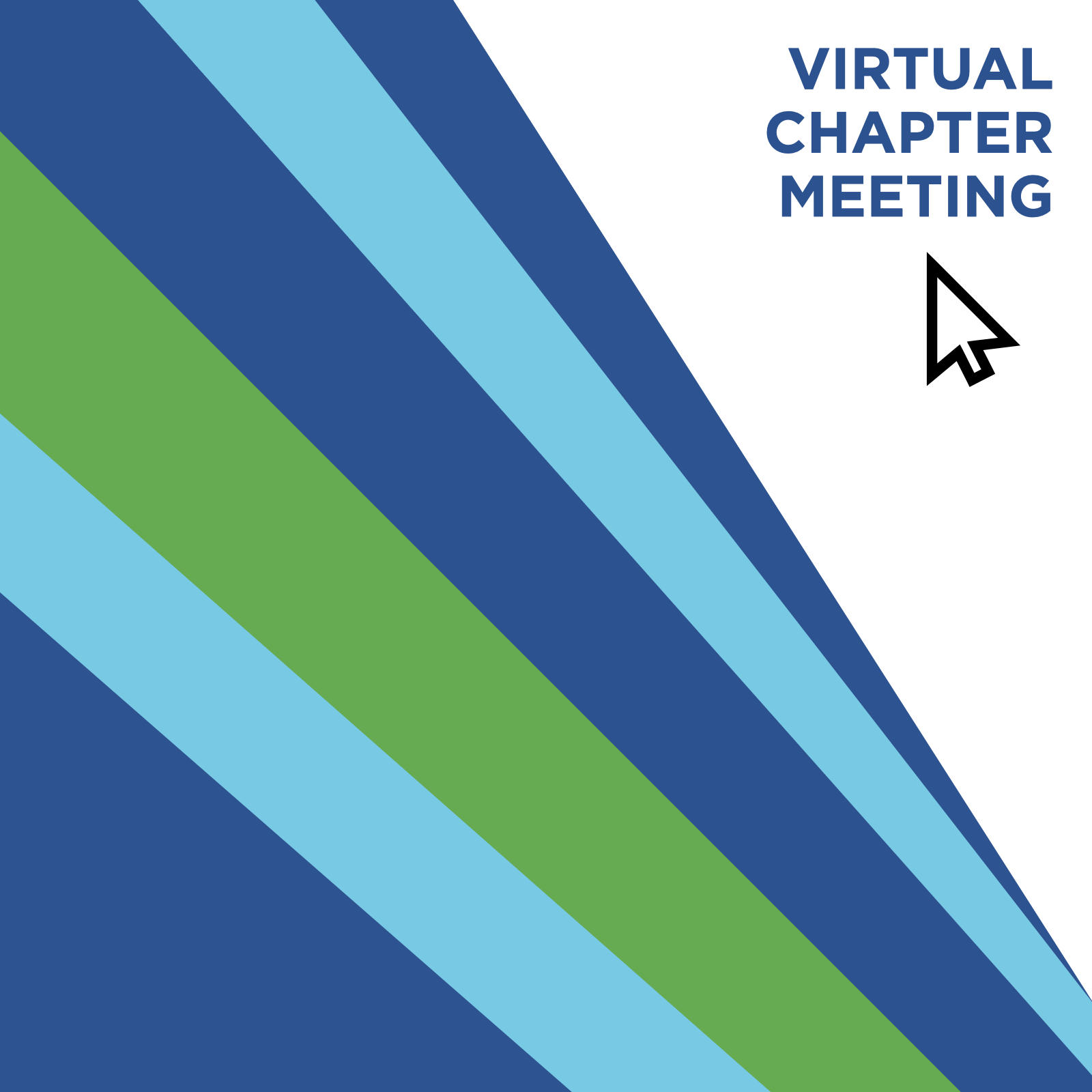 Virtual Chapter Meeting