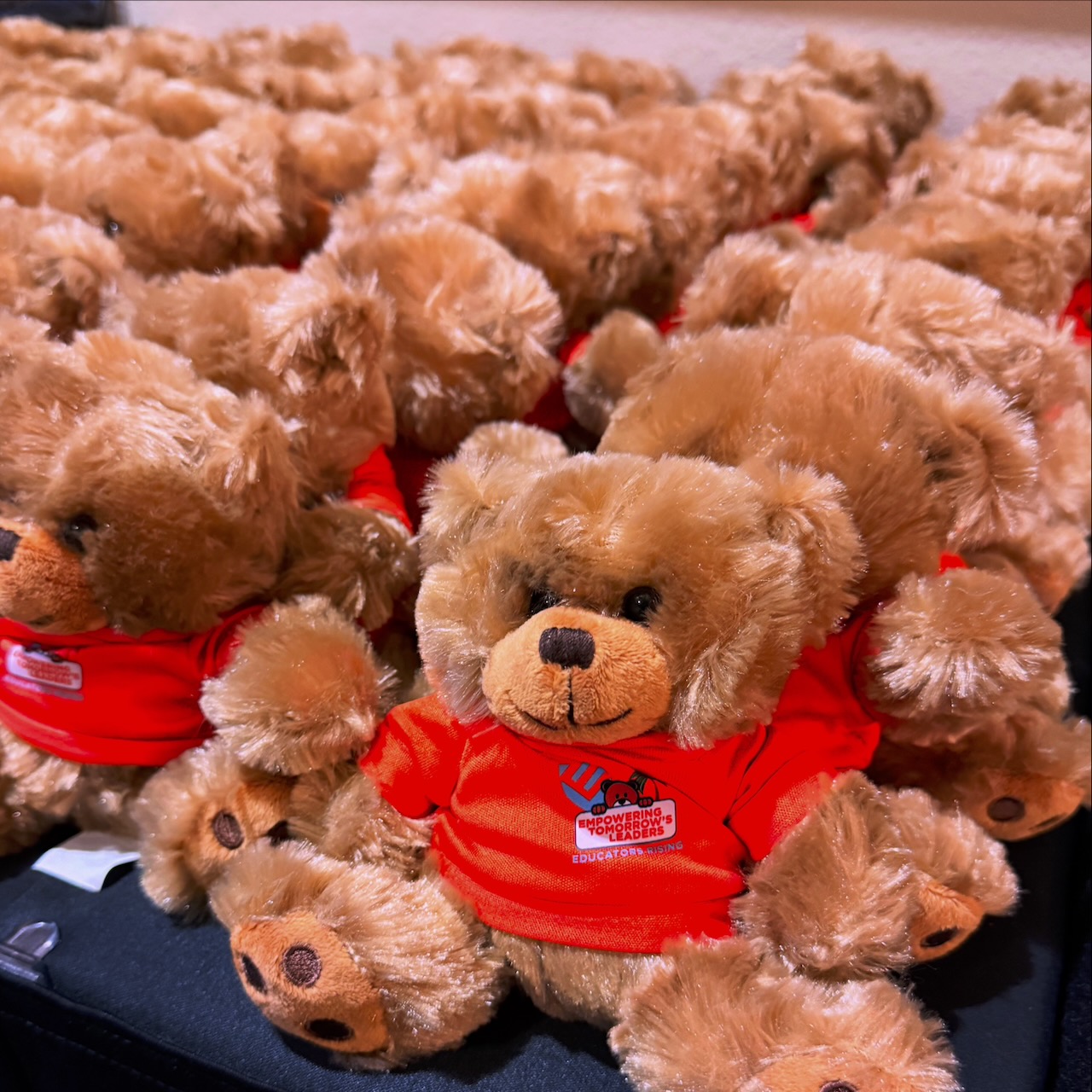 0A280142-D238-46D4-850E-0EB323AAC02C Rows of mini Eddy Bears sit on a table at Educators Rising annual conference in Orlando.